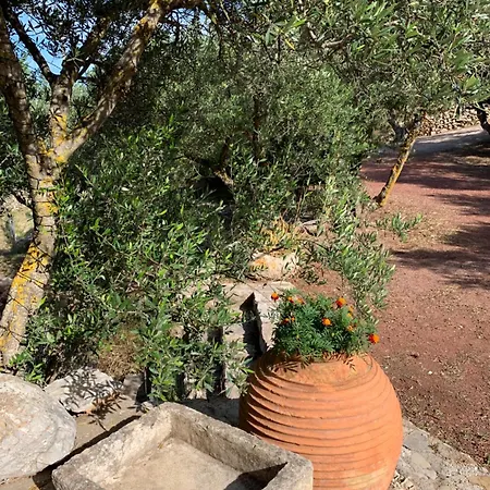 Appartement Ampelia Kythira Livadi (Kythira)