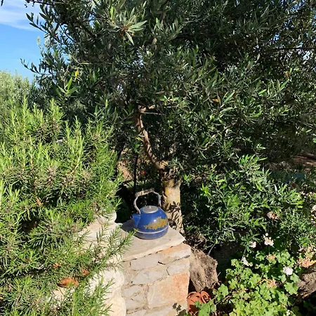 Ampelia Kythira Appartement *