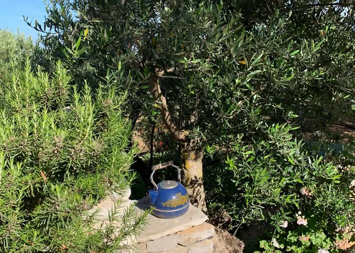 Ampelia Kythira Apartamento *