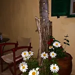 公寓 Ampelia Kythira Livadi (Kythira)
