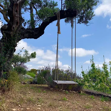Ampelia Kythira * Livadi