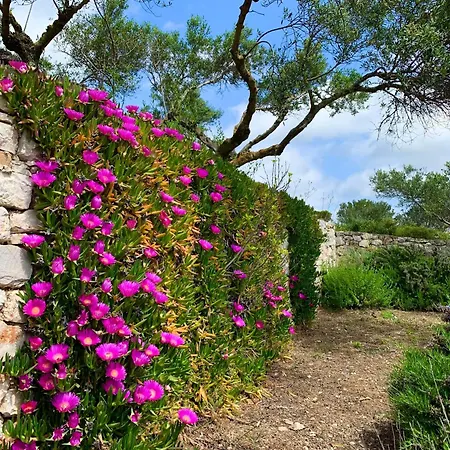 Апартаменты Ampelia Kythira