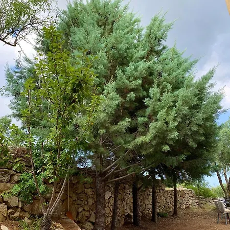 公寓 Ampelia Kythira *