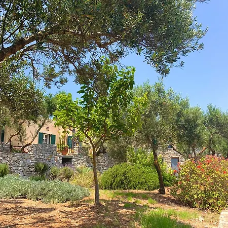 Ampelia Kythira Апартаменты