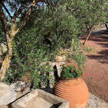 Apartment Ampelia Kythira Livadi (Kythira)