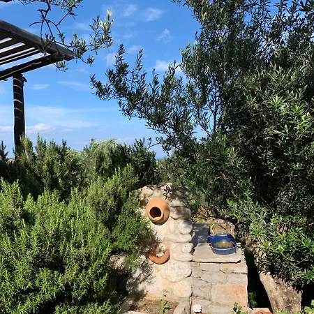 Ampelia Kythira * Livadi