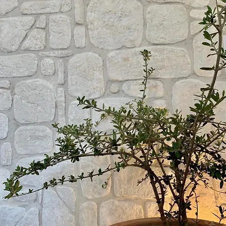 Апартаменты Ampelia Kythira Livadi (Kythira)