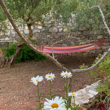 Ampelia Kythira * Livadi