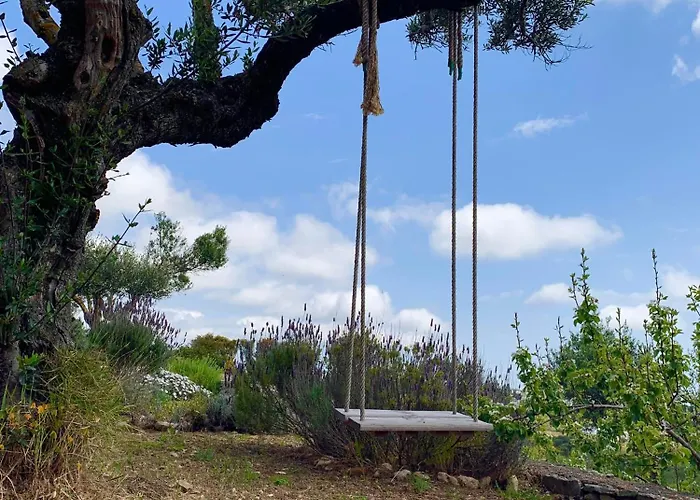 Ampelia Kythira * Livadi (Kythira)