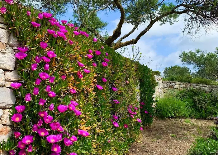 Appartement Ampelia Kythira