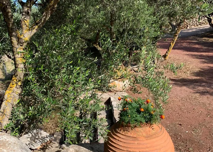 Appartement Ampelia Kythira Livadi (Kythira)