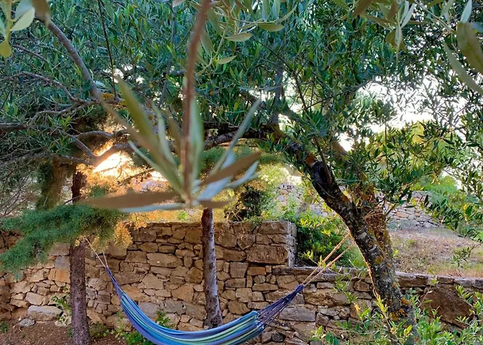 Ampelia Kythira Livadi (Kythira)